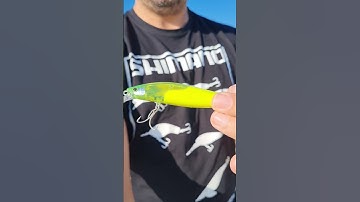 Shimano exclusive FlashBoost technology ❗️. @PierluigiCZ @Tuttospinning