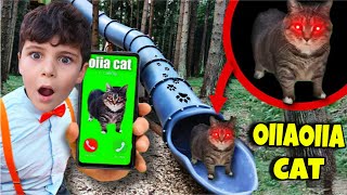 UTKU ASEL, OIIAOIIA CAT EXE ARIYOR SAKIN AÇMA ‼️ OYUN PARKINDA YAKALANDI ! @elifsinemtv  ⁠