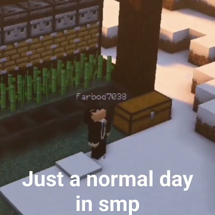just a normal day in minecraft smp #minecraftshorts #minecraft - YouTube