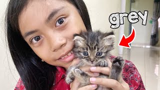 New Best Friend!! Yaya Brings Home a Kitten After School