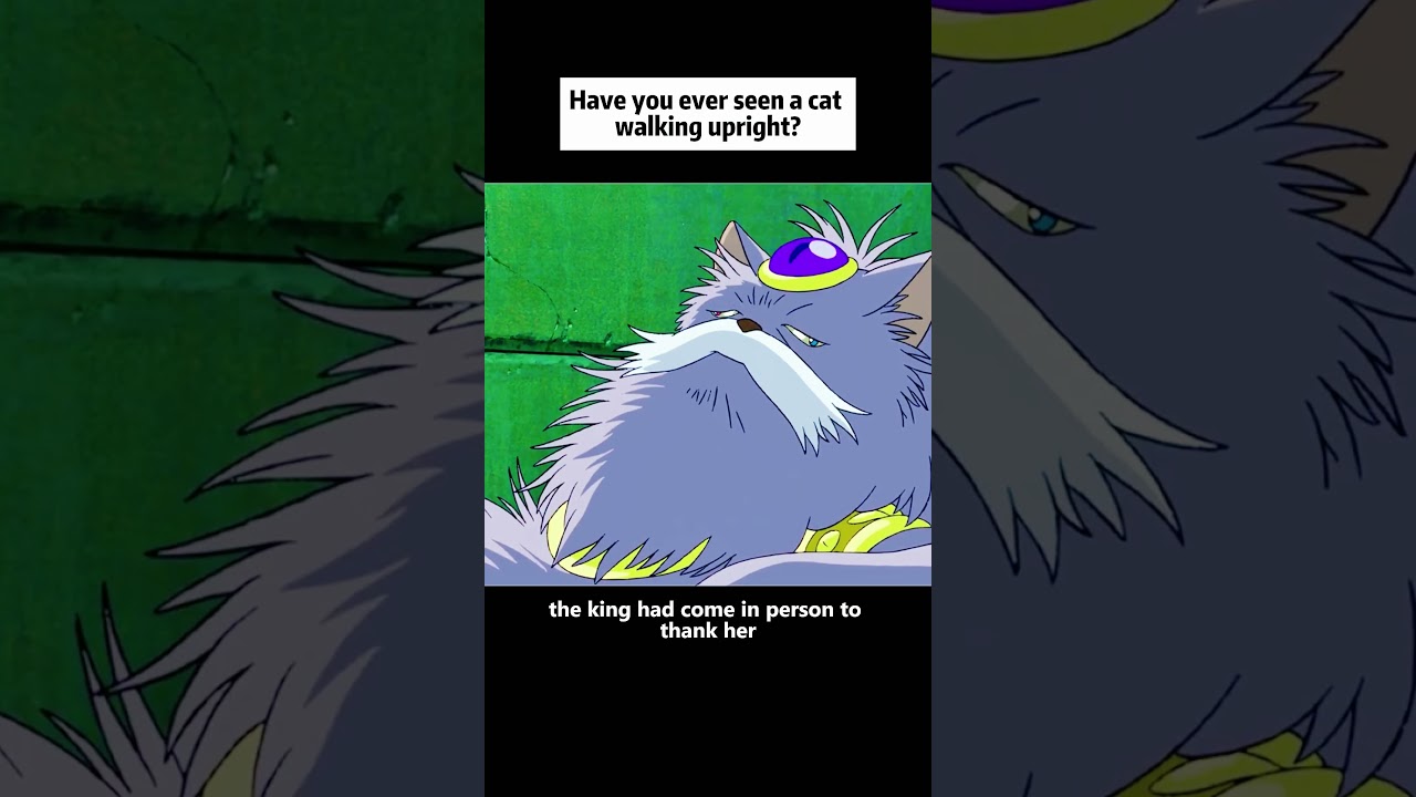 Have you ever seen a cat walking upright  