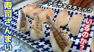 釣った６種の魚で寿司ざんまいやったら１番美味しいのは・・・