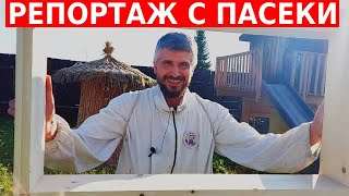 Карника VT, улей лежак и новые шестирамочники/сибирский пчелоблог 3 августа 2022