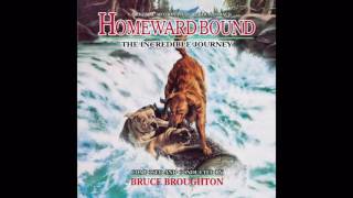 Homeward Bound:The Incredible Journey - Fording the Stream/Sassy in The River