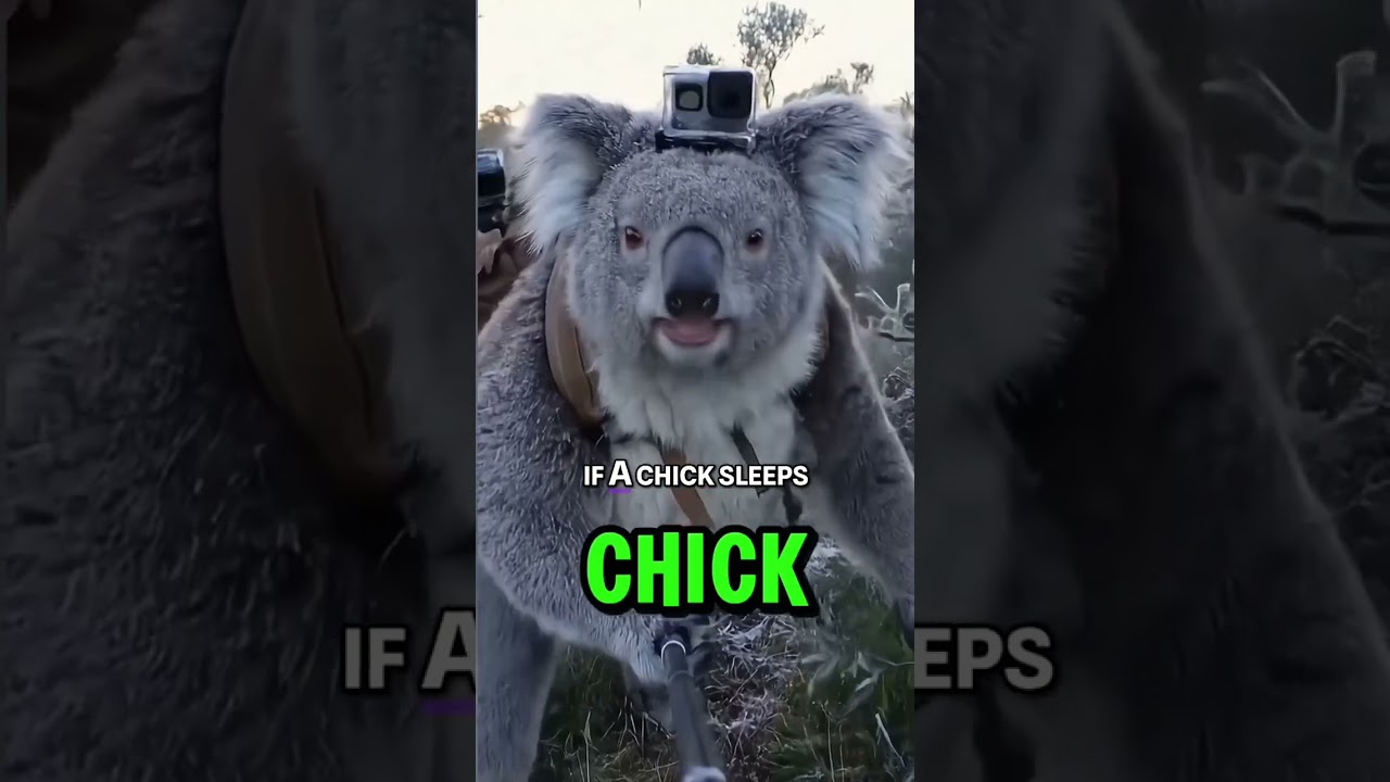 Halloween Police Stop: Transformer Trick-or-Treat Chaos! 