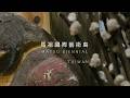 4K ✨台湾✨ 馬祖国際芸術島 (6/6) Matsu Biennial (6/6) 2025/10/25-29