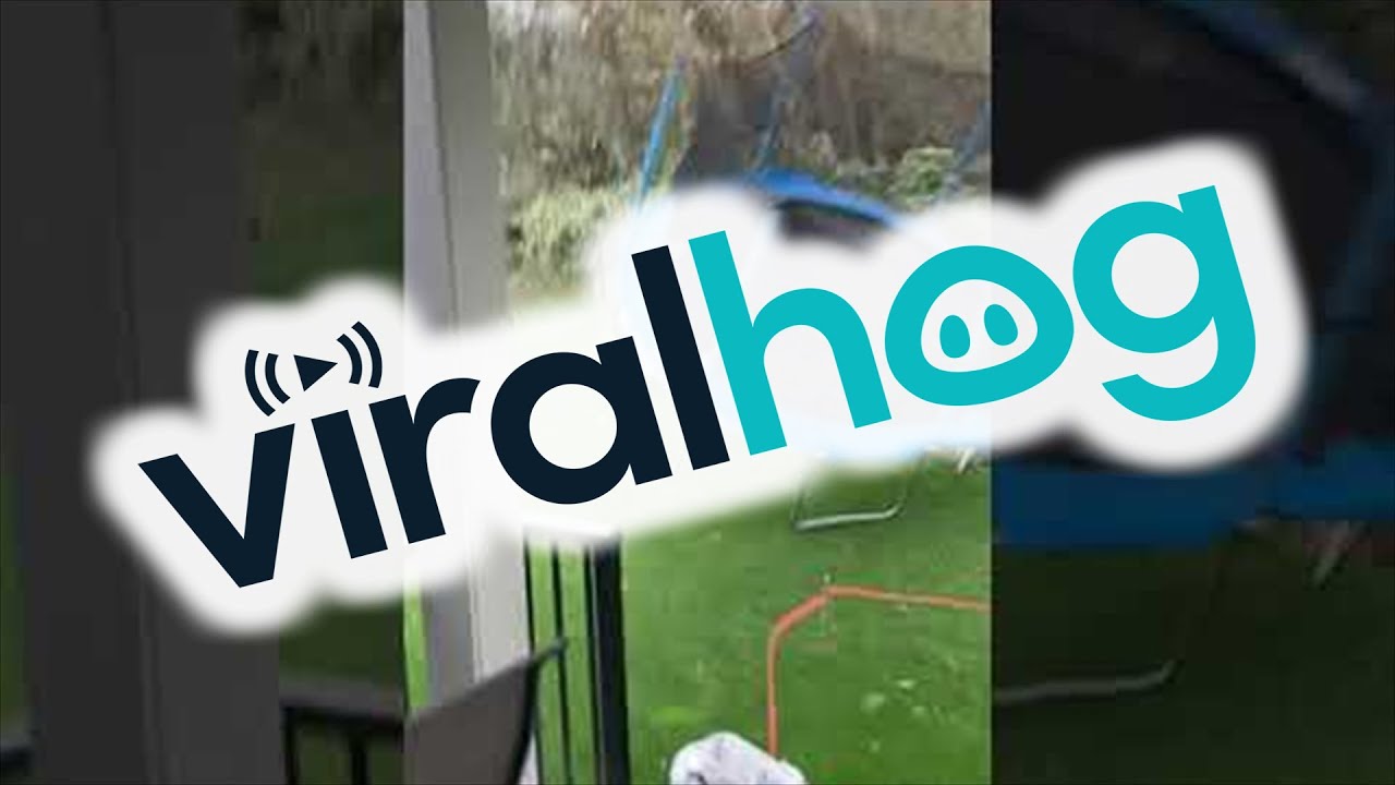 Quick Thinking Dog Dodges Runaway Trampoline in Storm || ViralHog