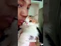 #funny #funnyanimals #youtube #cat #funnypets #youtubeshorts #pets