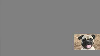 Celebrity JAVA   Lists and images in labels Wealth