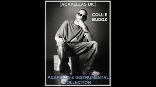 Collie Buddz - Acapella & Instruemntal Collection [Tracklist In Description]