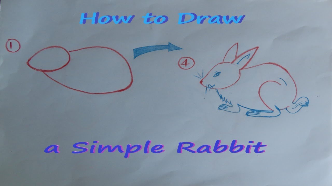 How to Draw a Simple Rabbit/Nuth Davin Drawing Arts