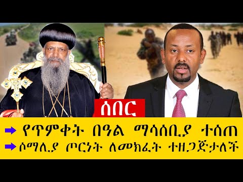 Habesha Wager Comment in the Canada, Personal Advertisements and Alive Playing 2024! 