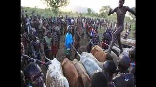 Pour Iphone ETHIOPIE - LES TRIBUS DU MIEl - ETHIOPIA - The Honey Tribes of the Omo Valley