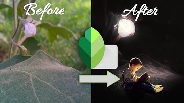 Create Photos layers in Snapseed/ editing tricks