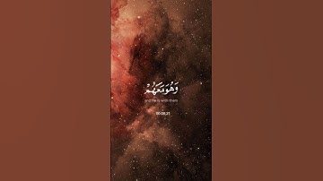 (يستخفون من الناس ولا يستخفون من الله) القارئ: أحمد حمادي