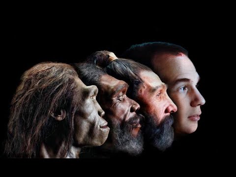 Video: Gli Europei Non Hanno Avuto La Loro Pelle Pallida Dai Neanderthal - Visualizzazione Alternativa