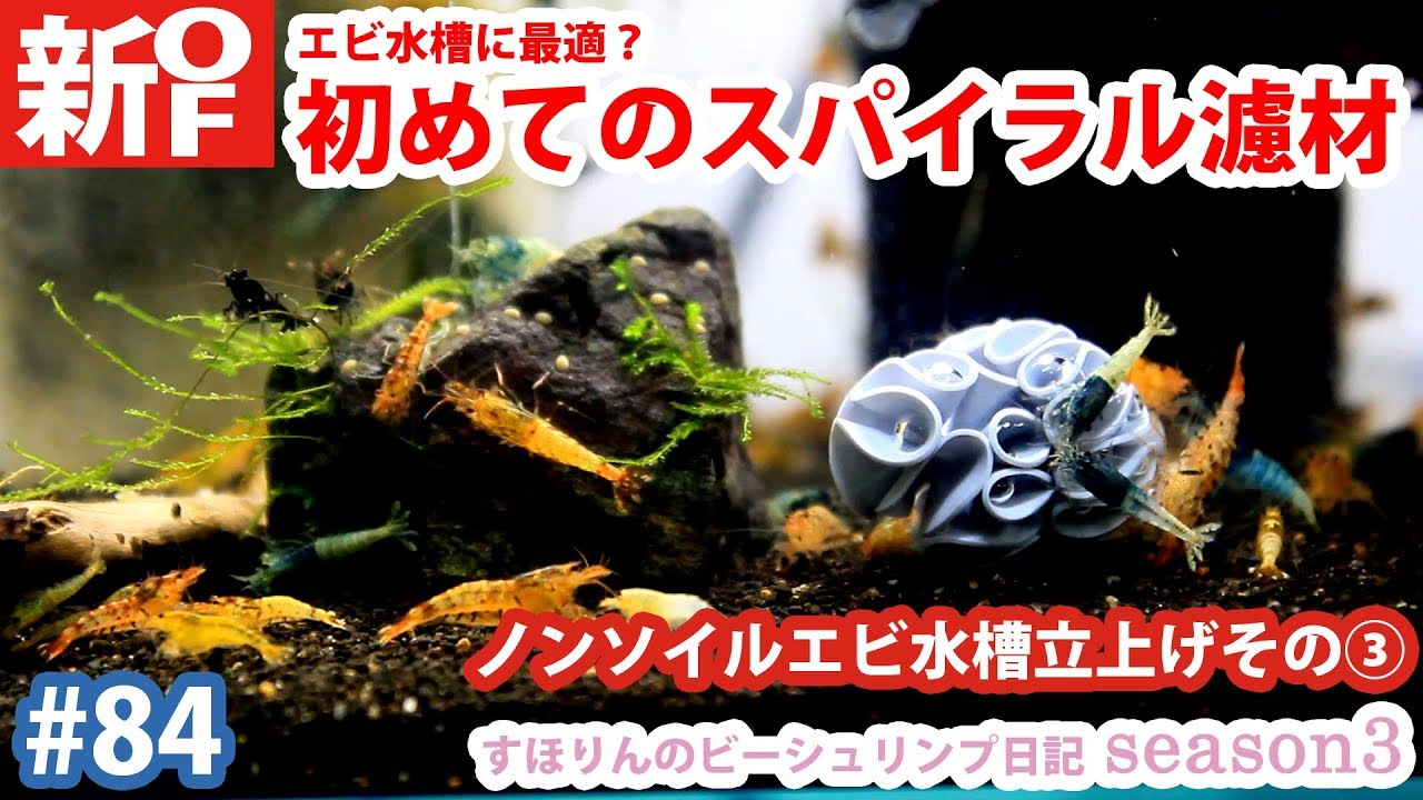 エビ水槽に初めてのスパイラル濾材【フジノスパイラル開封レビュー