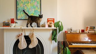 a very, merry crafternnoon
tis the season for making your own Christmas decorations - my second last video for 2024 (the greenpeace one is yet to come) — oh, and Squarespace discount: http://squarespace.com/furrylittlepeach
✱ ✱ ✱
SUBSCRIBE: http://bit.ly/1R63vvr
✱ ✱ ✱
MUSIC:
I license music for my videos here ↴
https://tinyurl.com/flpmusicbed *
Time Adventure (Chiptune Cover) — Max Demski
✱ ✱ ✱
COME FIND ME:
INSTAGRAM ✷ / furrylittlepeach
STORE ✷ http://furrylittlepeach.com/store
NEWSLETTER ✷ http://furrylittlepeach.com/newsletter
TWITTER ✷ / furrylittlpeach
TUMBLR ✷ / furrylittlepeach
SPOTIFY ✷ Shaan dAnthes / furrylittlepeach
✱ ✱ ✱
LOVE LETTERS:
Sha’an d’Anthes
PO Box 81
Petersham, NSW
Australia 2049
✱ ✱ ✱
FTC : This video was sponsored by Squarespace.
Links marked with * are affiliates and I receive a small commission at no extra cost to you :-)
✱ ✱ ✱
Oh hey there little bean, watcha doing all the way down here? a very, merry crafternnoon
