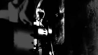 LOMOR   Sabouk Rouge #thrashmetal #youtubeshorts #shorts