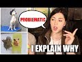 PET YouTuber Reacts To PROBLEMATIC Viral Animal Videos | EMZOTIC