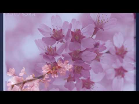 花は咲く　リコーダー二重奏