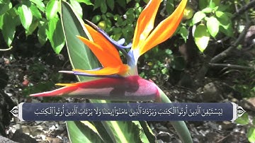 ترجمه صوتی تصویری قرآن حکیم ( 074 ) سوره مدثر