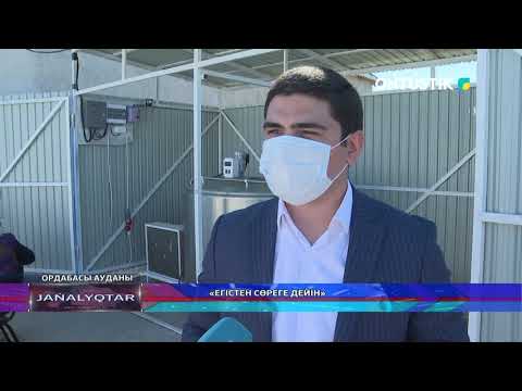 Бейне: Егістен дастарханға дейін: өндірісте тұқымдарды қалай тазартады?