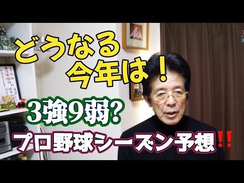プロ野球順位予想‼️〝３強９弱〟