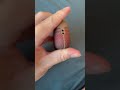 PITAKA AirPods Pro 3 芳綸纖維耳機保護殼