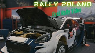 Rally Racing: Poland screenshot 5