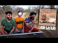 WHEN CO-LEADER OF H¥DRA meets LEADER of JUNGLE 🤩|| LION SAFARI in GIR Forest! -  H¥DRA  ALPHA VLOGS!