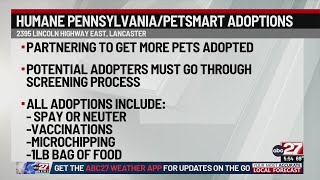 Humane Pennsylvania, PetSmart partner for adoptions