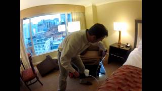 Kill Bed Bugs In 5 Minutes
