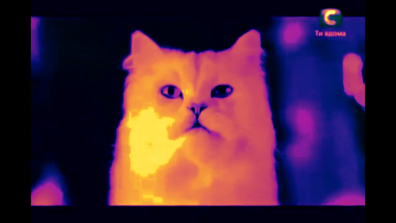 Purina Gourmet Gold Ефекти 48