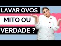 LAVAR OVOS - MITO OU VERDADE?