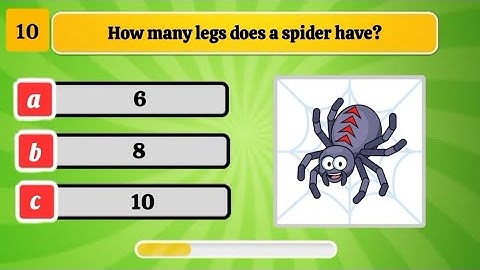 Fun General Knowledge Quiz - Level 2 | Trivia Quiz | Smart Or Not