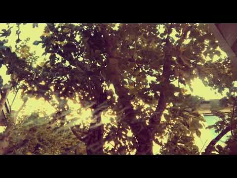 Silence/ n-buna feat. Sarah Furukawa (合唱cover)