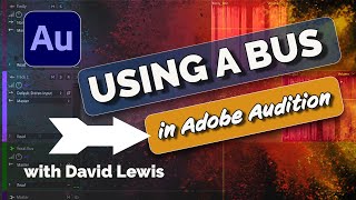 Using a Bus in Adobe Audition | David Lewis talking tech & audio