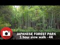 4K - One Hour Walk in a Japanese Forest Park - Slow TV - Nature relaxing video