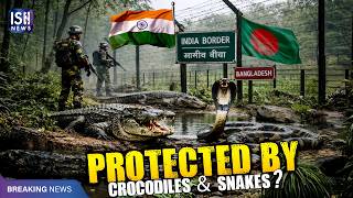 Indo-Bangladesh Border To Be Protected By Crocodiles And Snakes? Ish News