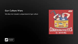 Gun Culture Wars