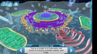 Cell World app para Ciencias Naturales screenshot 2