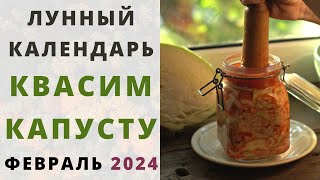 КВАШЕНАЯ КАПУСТА: когда квасить капусту по лунному календарю? БЛАГОПРИЯТНЫЕ ДНИ засолки ФЕВРАЛЬ 2024