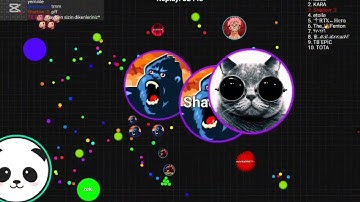 Blob.io | crazy mode wins compilation #4 (solo & teaming )