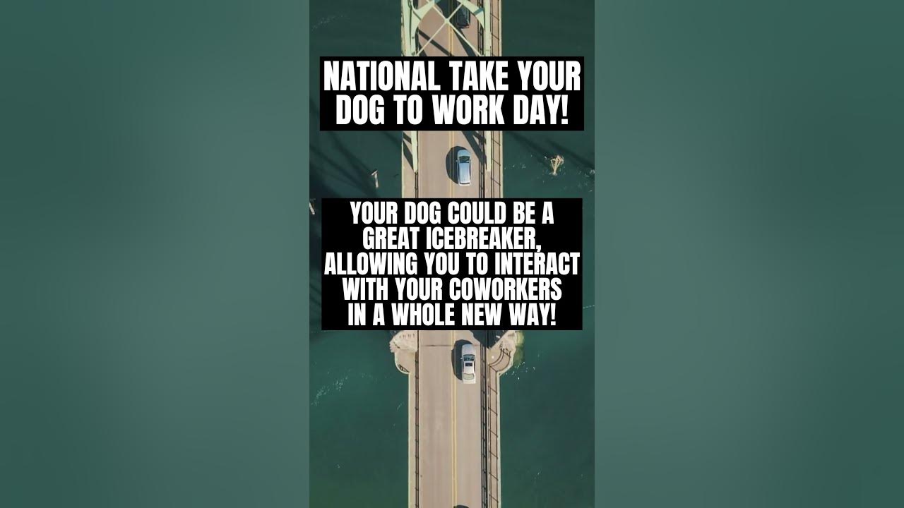 National Take Your Dog to Work Day! YouTube