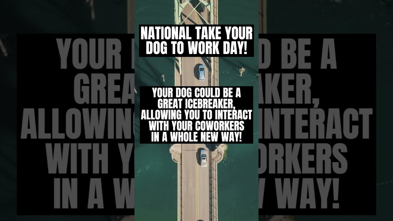 National Take Your Dog To Work Day YouTube National Take Your Dog To Work Day YouTube