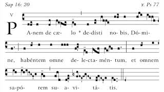 Panem De Caelo - Communio For The 18Th Sunday Of Ordinary Time