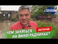 Виноградники Австралии. Природа, современное искусство и гастрономический ресторан