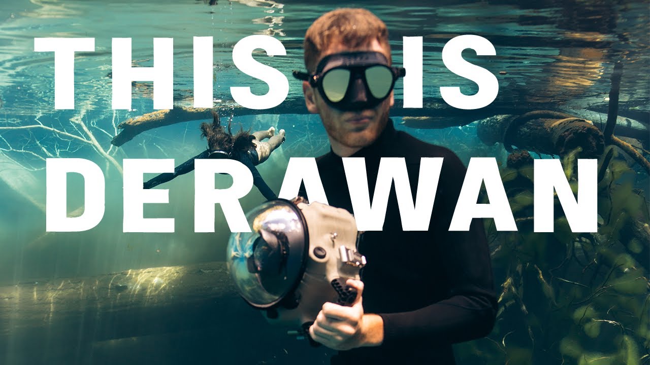 Behind The Scenes • DIVE REFLEX YouTube