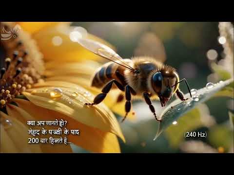 Amazing facts